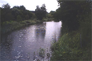 Hüttenkanal, Kleinzerlang, im Sommer